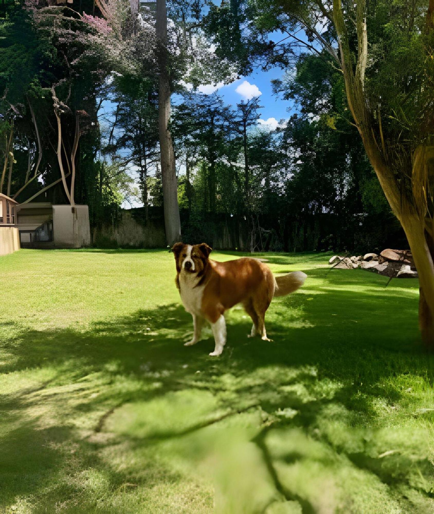 Casa de férias Recanto Riviera Refugio Familiar Na Natureza De Sp São Paulo